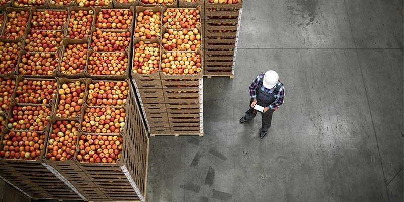 Cold storage warehouse