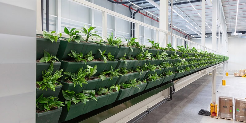 Wellness in industrial buildings