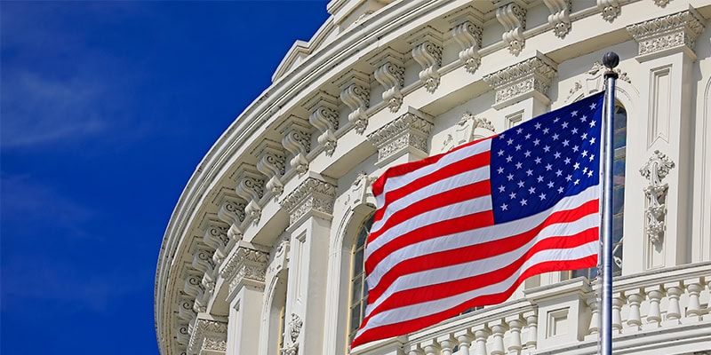 Capitol building flag