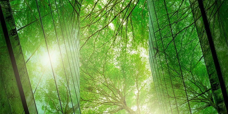 Eco-friendly offices